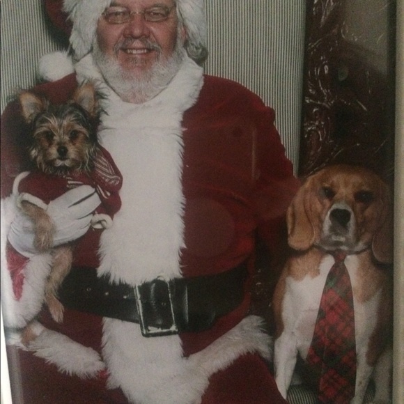 UFC 264 Go 💎Music Fan MMA & Go Dodgers 2021 ⚾️ - Picture 8 of 10